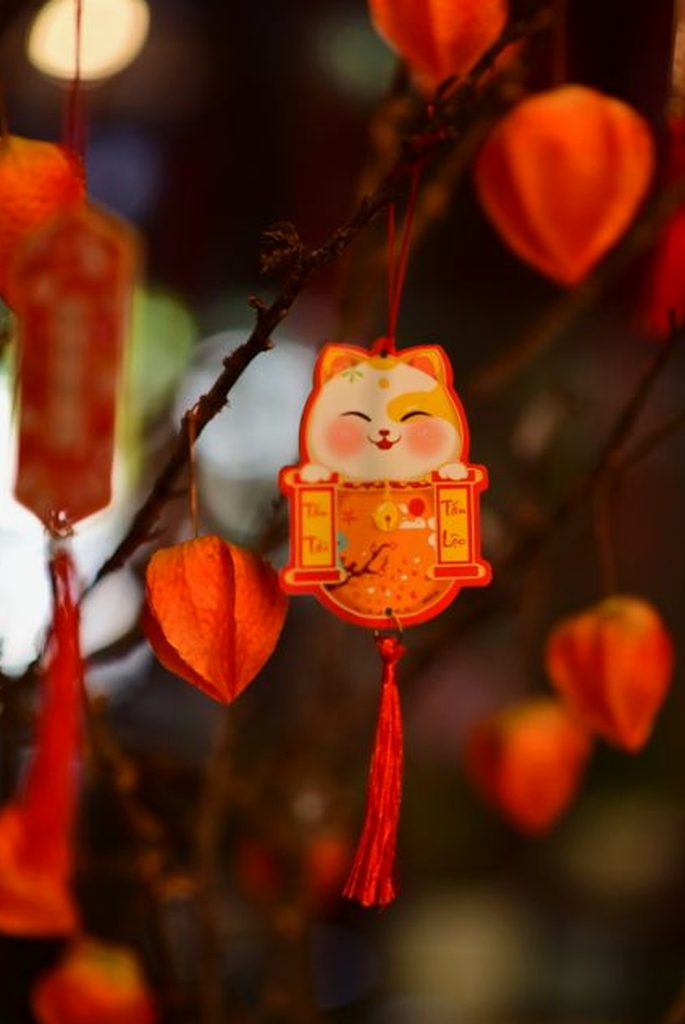 phỏm di động Nohu